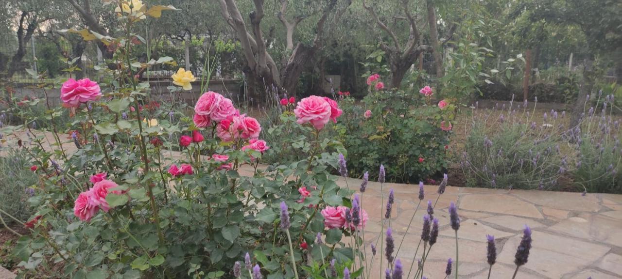 Villa Harmony Vergia Bagian luar foto